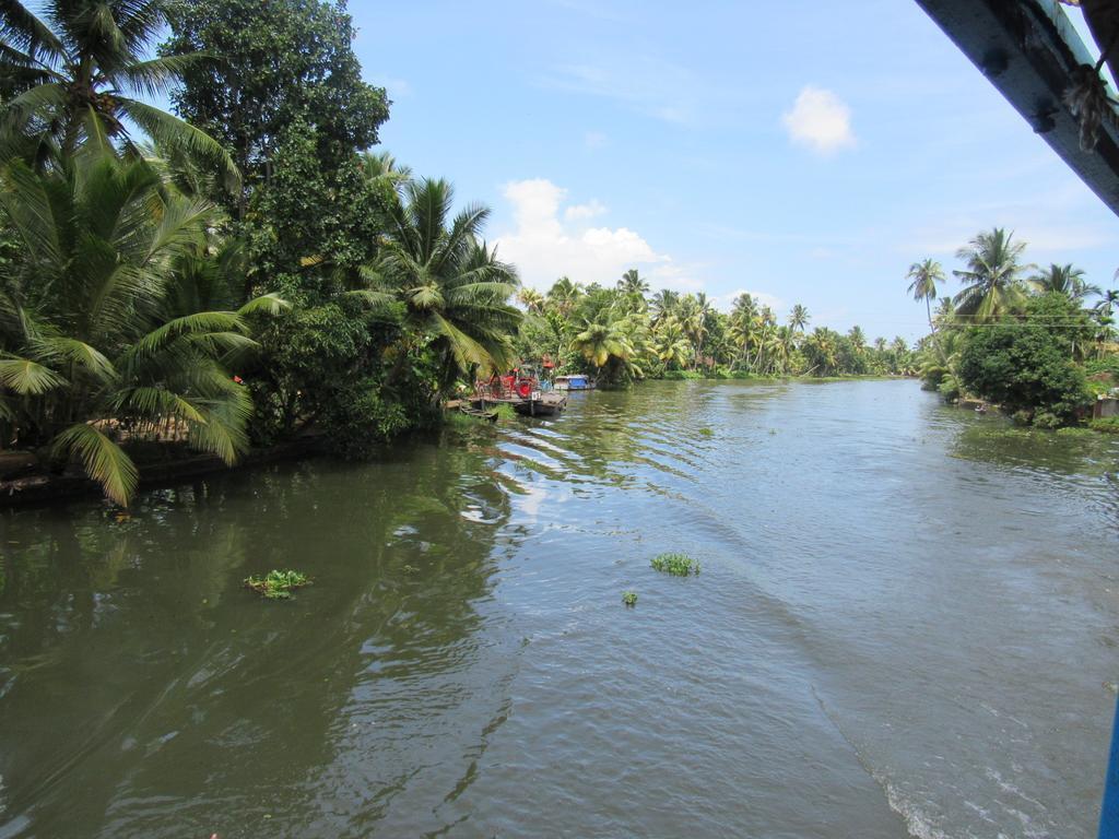Marari Dreamz Villa Alappuzha Rum bild