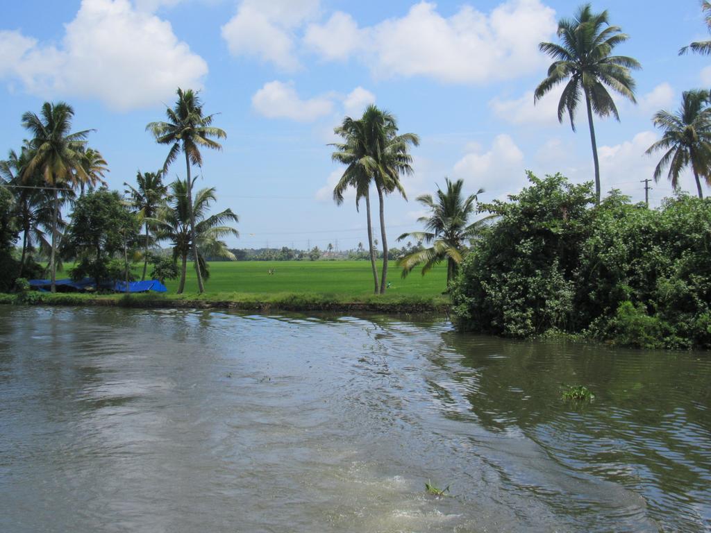 Marari Dreamz Villa Alappuzha Rum bild