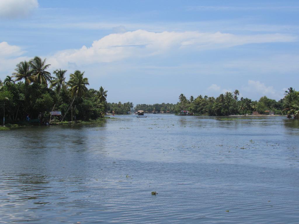 Marari Dreamz Villa Alappuzha Rum bild