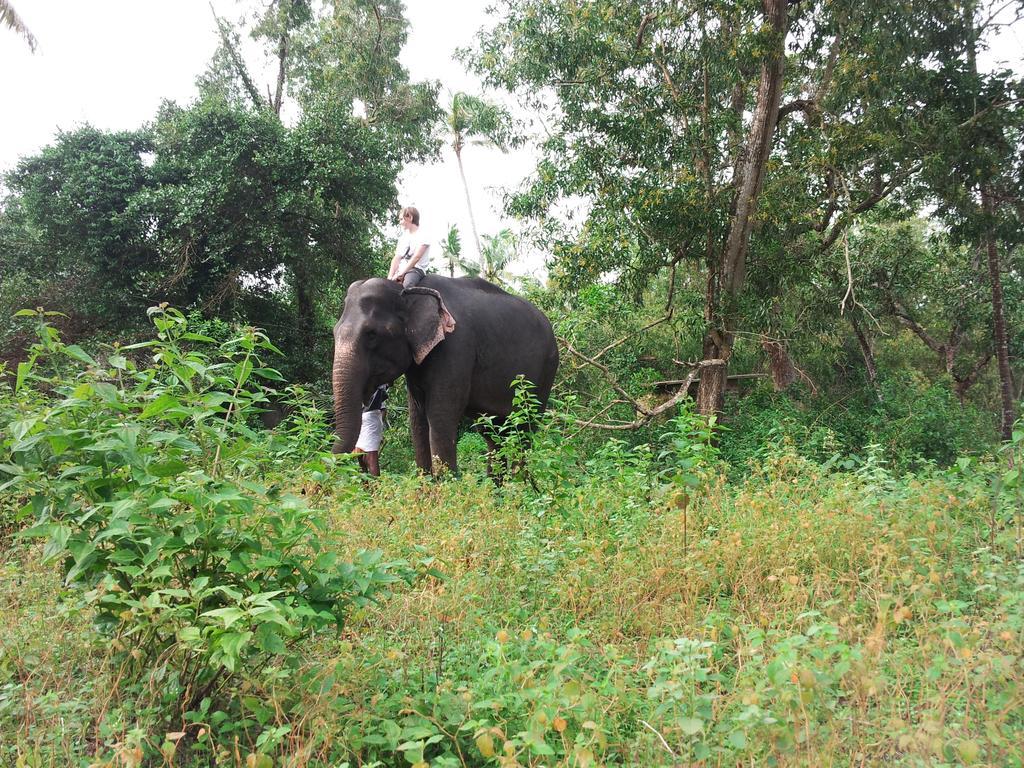 Marari Dreamz Villa Alappuzha Rum bild