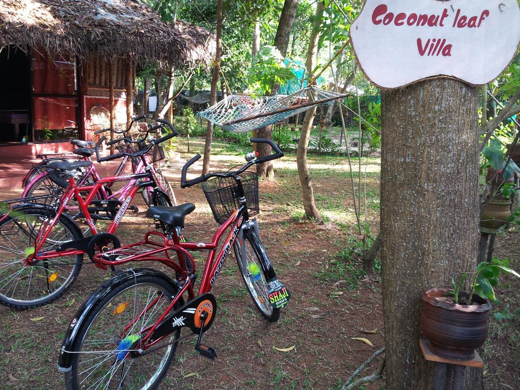 Marari Dreamz Villa Alappuzha Exteriör bild