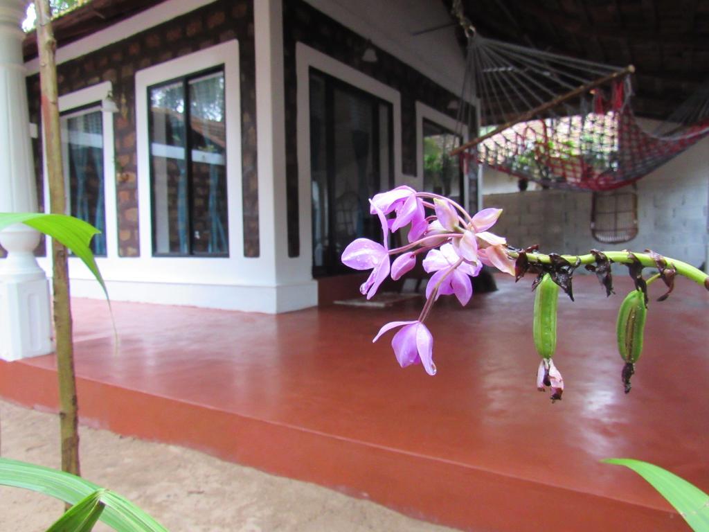 Marari Dreamz Villa Alappuzha Exteriör bild